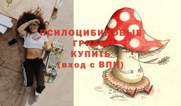 MDMA Заводоуковск